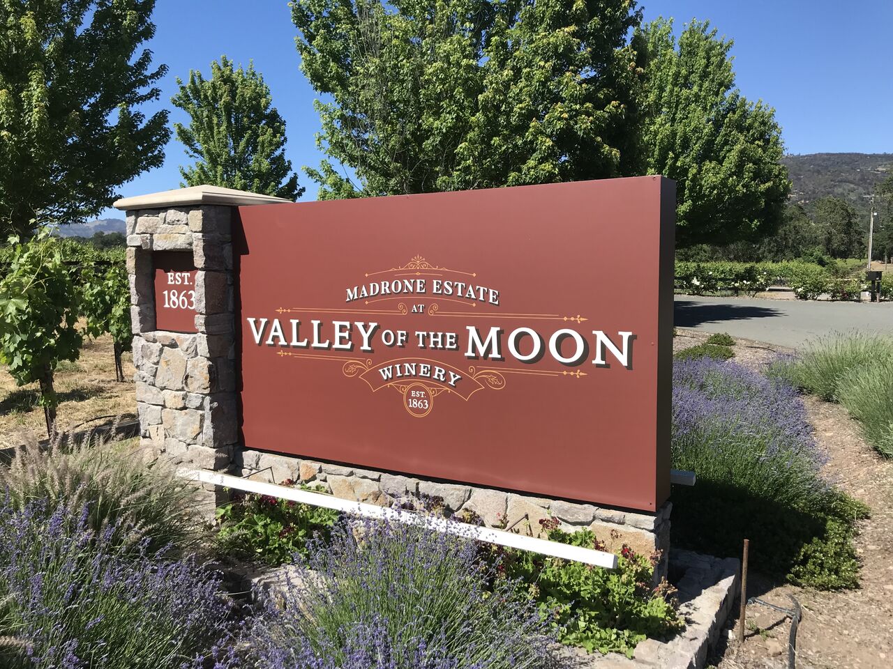 Stone-pier monument sign reading Madrone Estate at Valley of the Moon Winery, Est. 1863, set in lavender planting